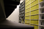 P&E Wing Recommendations for Archival Media