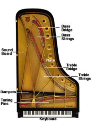 Diagram of the Anatomy of a Grand Piano 