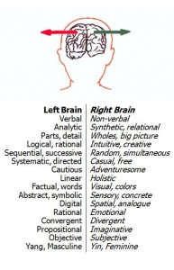 Left vs Right Brain