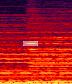 The Fundamentals of Waveform Editing