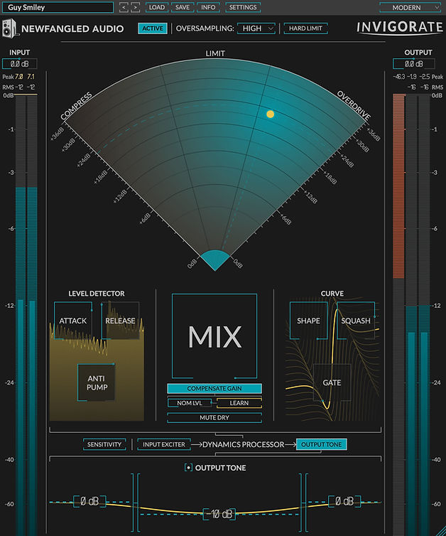 Newfangled Audio Invigorate