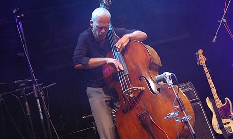 Avishai Cohen, bass ripper